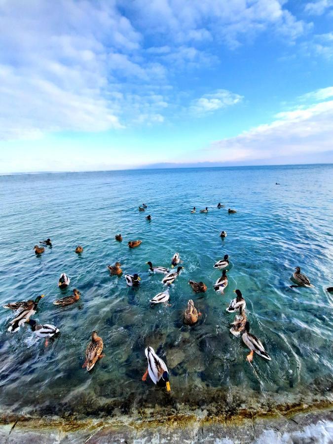 Harmonia Vendeghaz Appartement Balatonalmádi Buitenkant foto